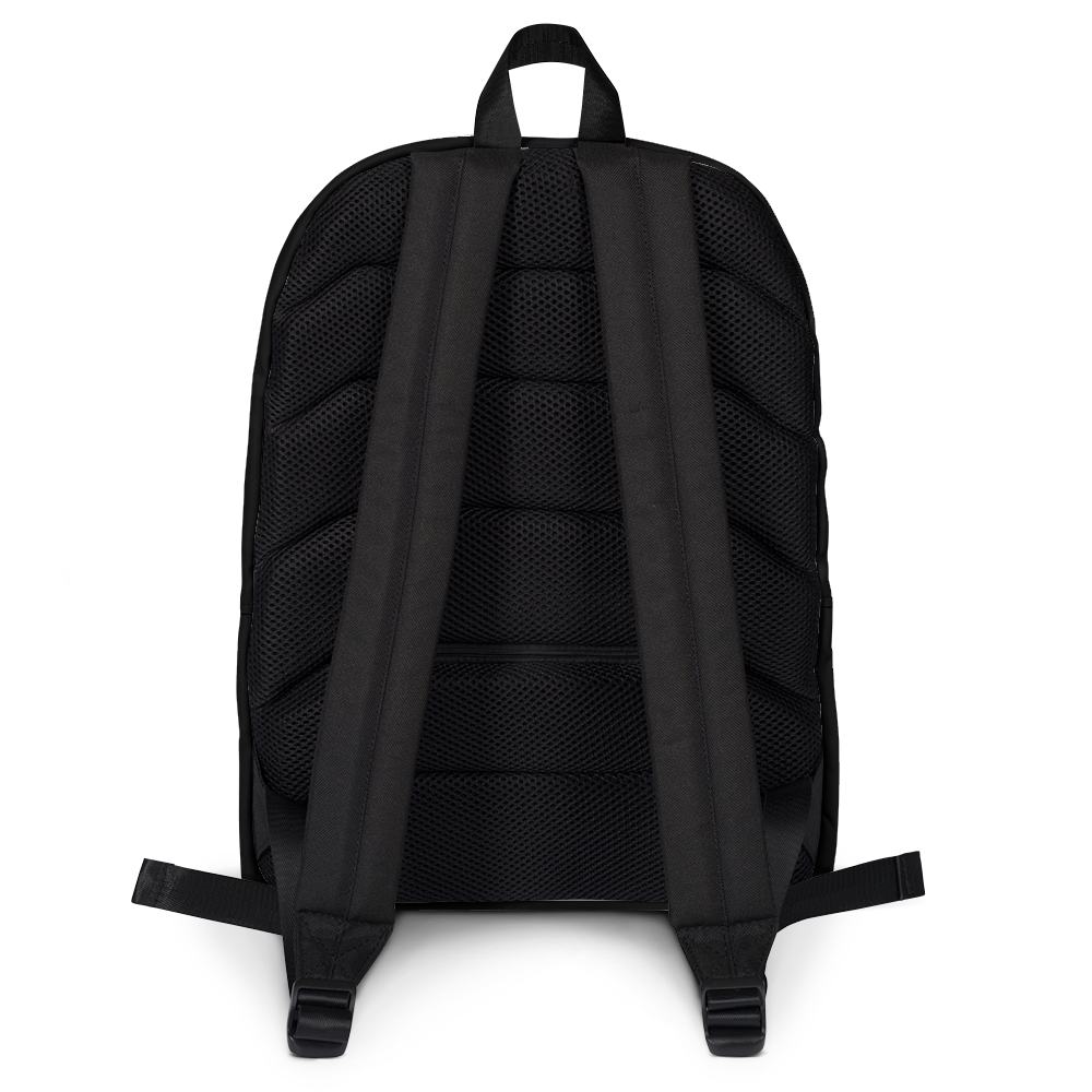 Astral Turtle Backpack